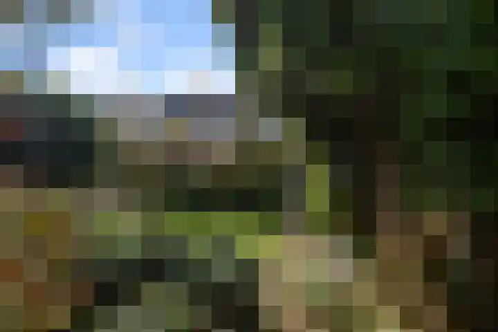 Brasemcroftlaan 16 Heiloo thumbnail 24