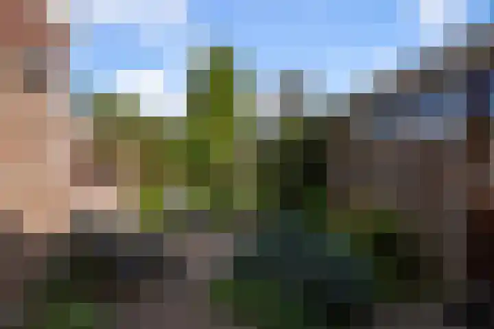 Brasemcroftlaan 16 Heiloo thumbnail 26