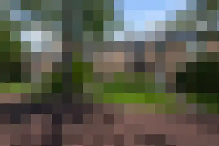 Brasemcroftlaan 16 Heiloo thumbnail 28