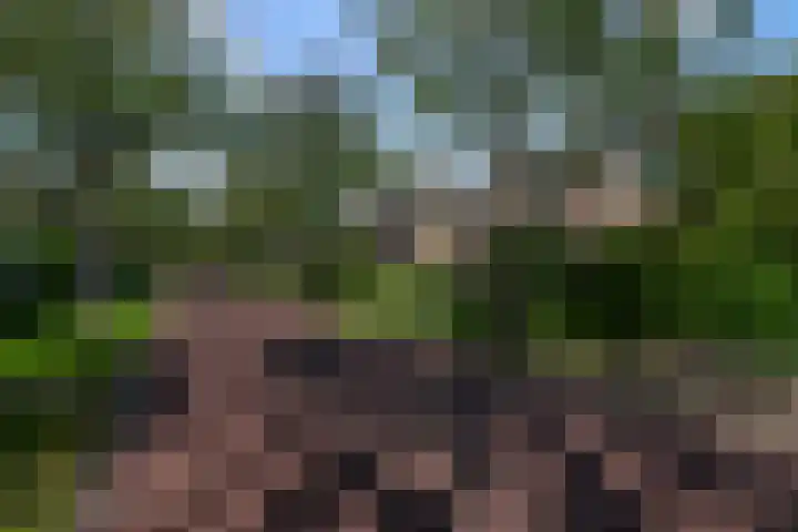 Brasemcroftlaan 16 Heiloo thumbnail 30
