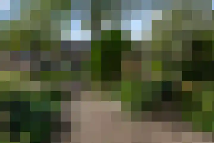 Brasemcroftlaan 16 Heiloo thumbnail 31