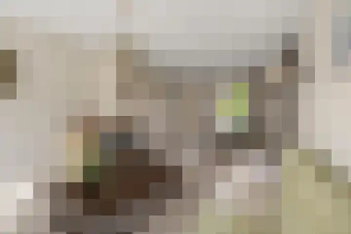 Brasemcroftlaan 16 Heiloo thumbnail 6
