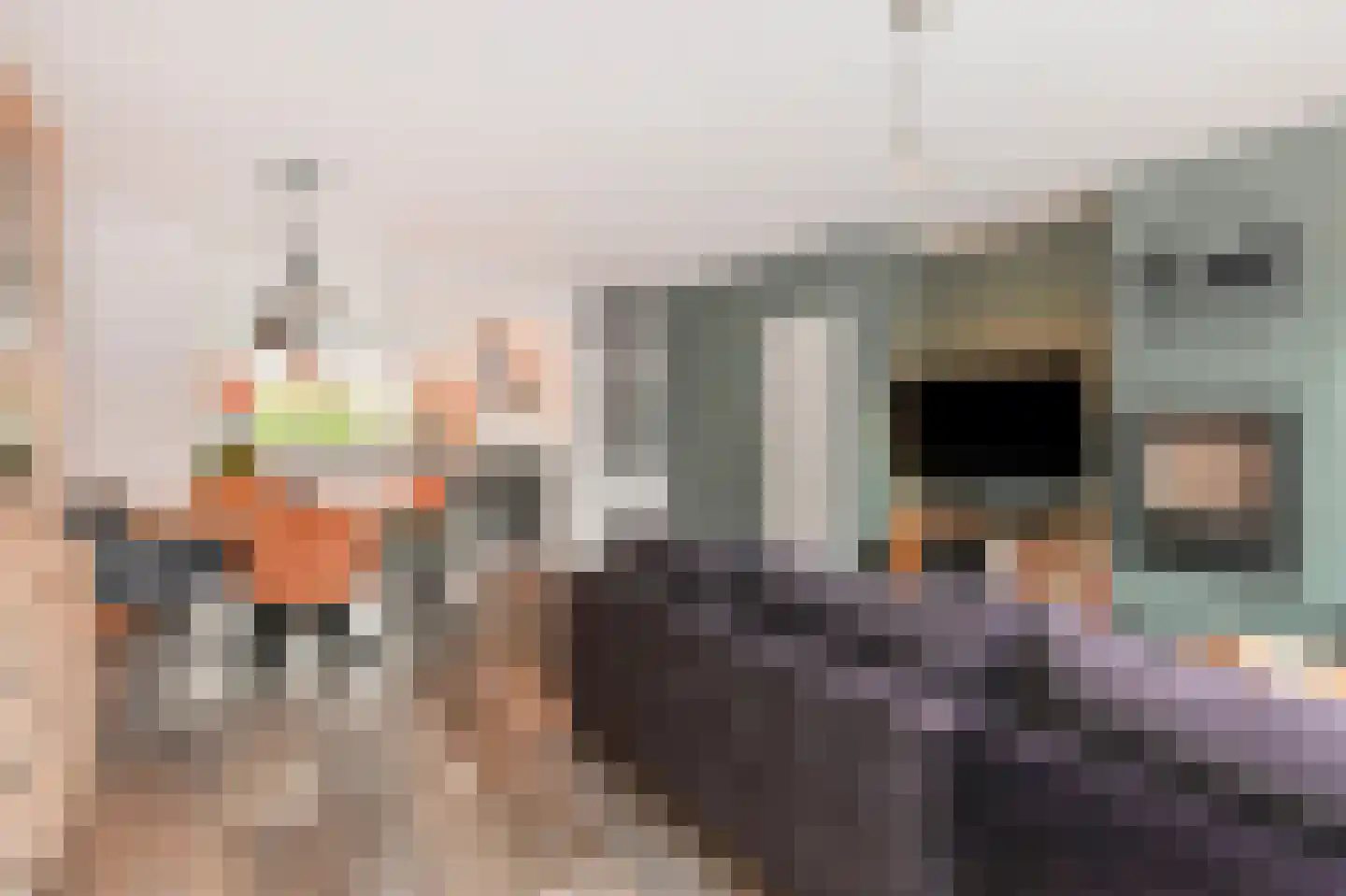 Brasemdaal 85 Den Haag thumbnail 12