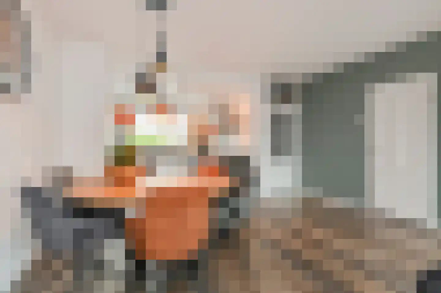 Brasemdaal 85 Den Haag thumbnail 16