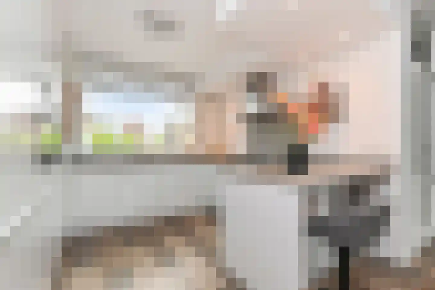 Brasemdaal 85 Den Haag thumbnail 17