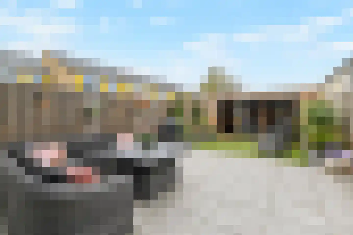 Brasemdaal 85 Den Haag thumbnail 21