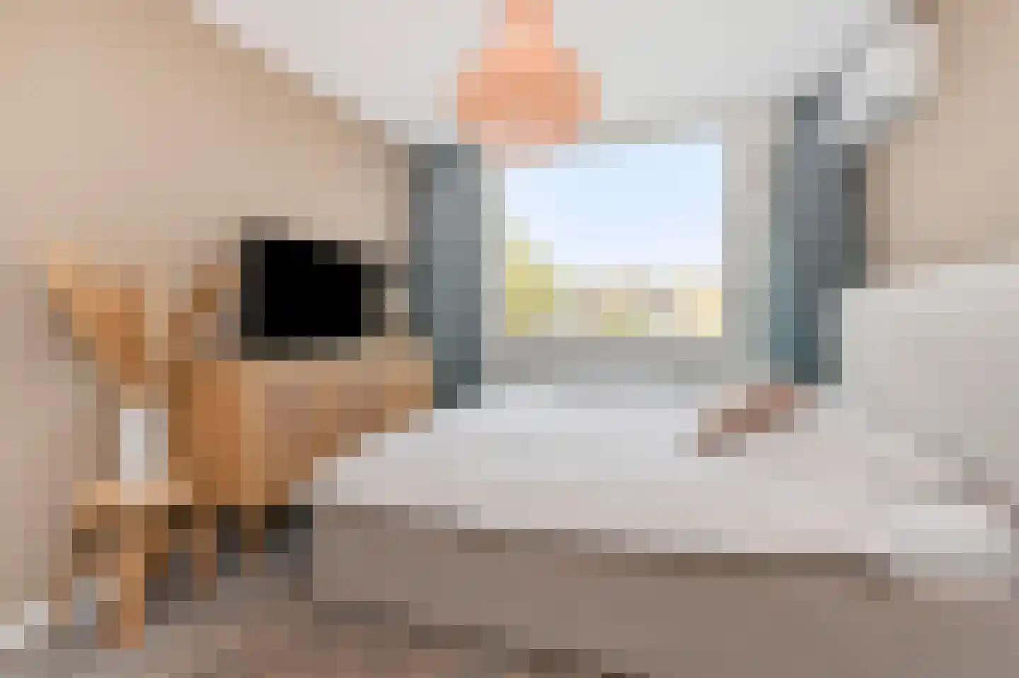 Brasemdaal 85 Den Haag thumbnail 33