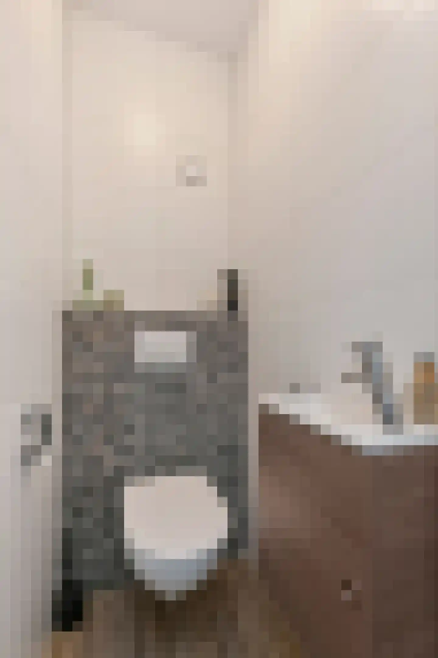 Brasemdaal 85 Den Haag thumbnail 8