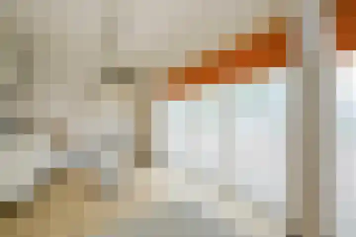 Brasemdam 4 Den Haag thumbnail 11