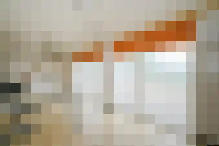 Brasemdam 4 Den Haag thumbnail 12