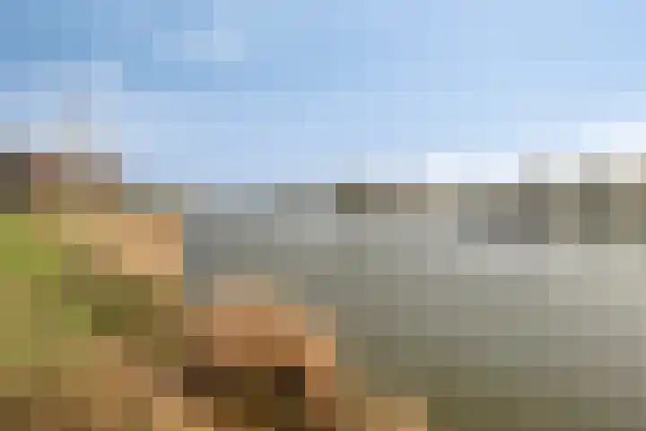 Brasemdam 4 Den Haag thumbnail 23