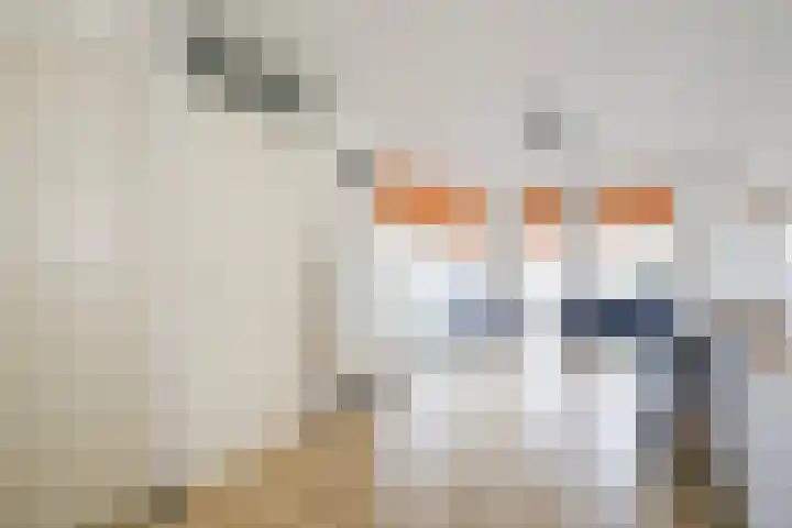 Brasemdam 4 Den Haag thumbnail 4