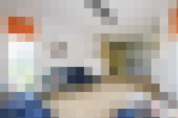 Brasemdam 4 Den Haag thumbnail 7
