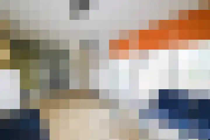 Brasemdam 4 Den Haag thumbnail 8