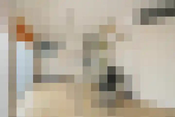 Brasemdam 4 Den Haag thumbnail 9