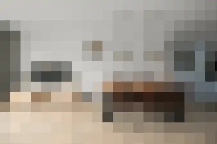 Brasemermeer 1 Zaandam thumbnail 4