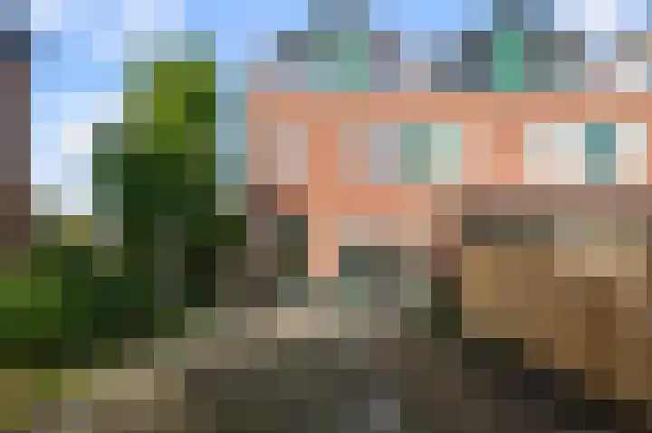 Brasemermeer 29 Zaandam thumbnail 15