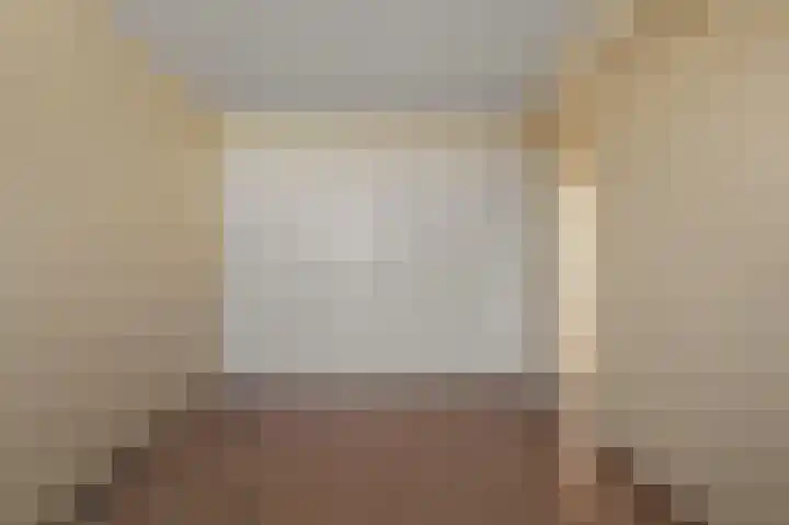 Brasemermeer 29 Zaandam thumbnail 27