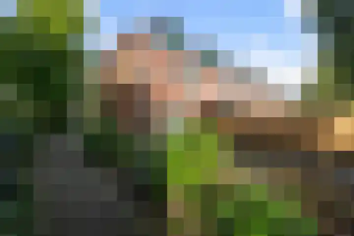 Brasemermeer 29 Zaandam thumbnail 37