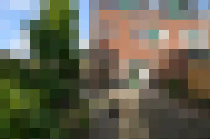 Brasemermeer 29 Zaandam thumbnail 6