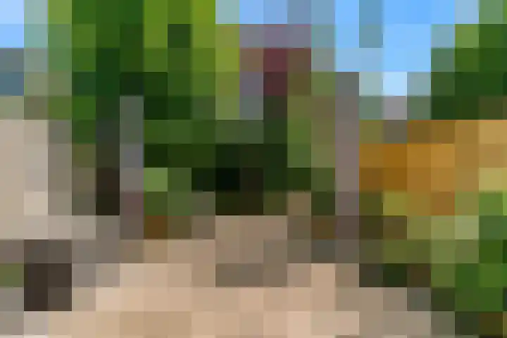 Brasemermeer 30 Zaandam thumbnail 30