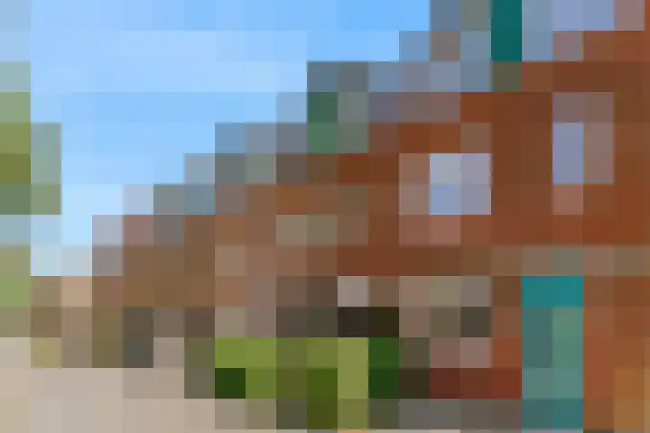 Brasemermeer 30 Zaandam thumbnail 4