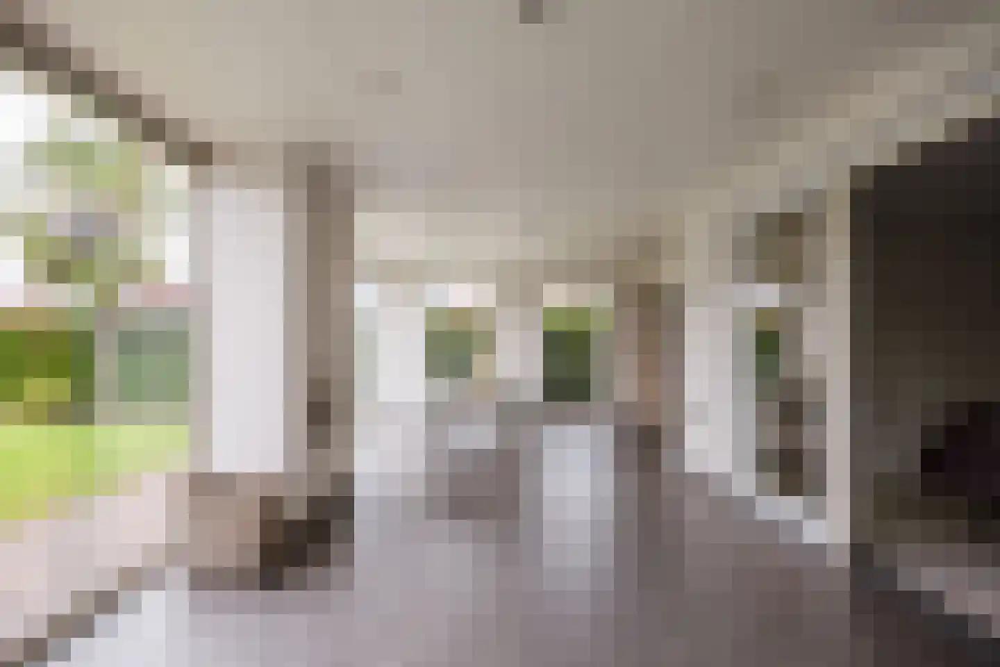 Brasemgracht 24 Beuningen Gld thumbnail 17