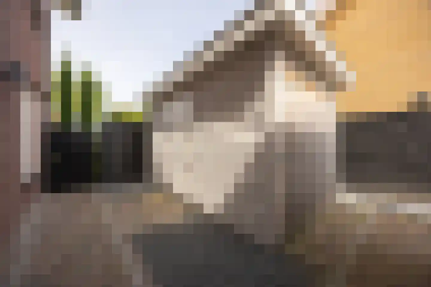 Brasemgracht 24 Beuningen Gld thumbnail 71