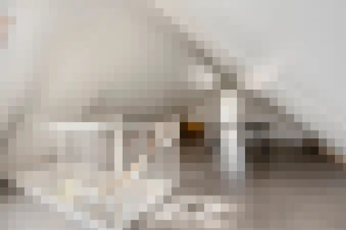 Brasemgracht 7 Beuningen Gld thumbnail 32