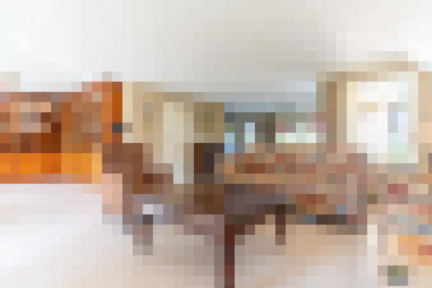 Brasemkolk 15 Zwolle thumbnail 13