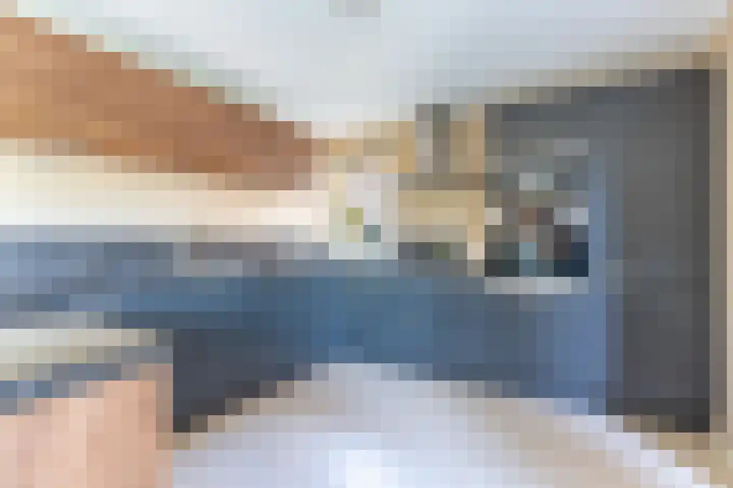 Brasemkolk 15 Zwolle thumbnail 20