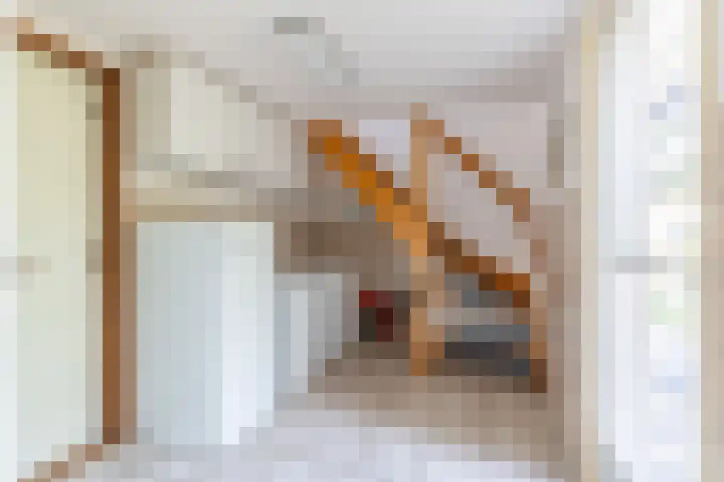 Brasemkolk 15 Zwolle thumbnail 23