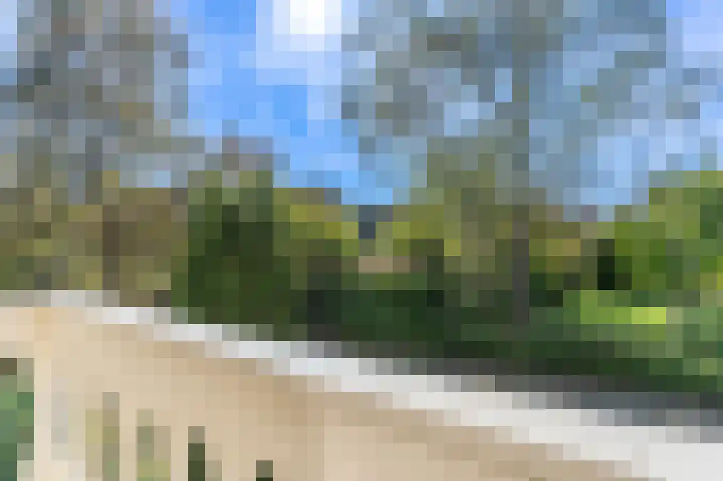 Brasemkolk 15 Zwolle thumbnail 30