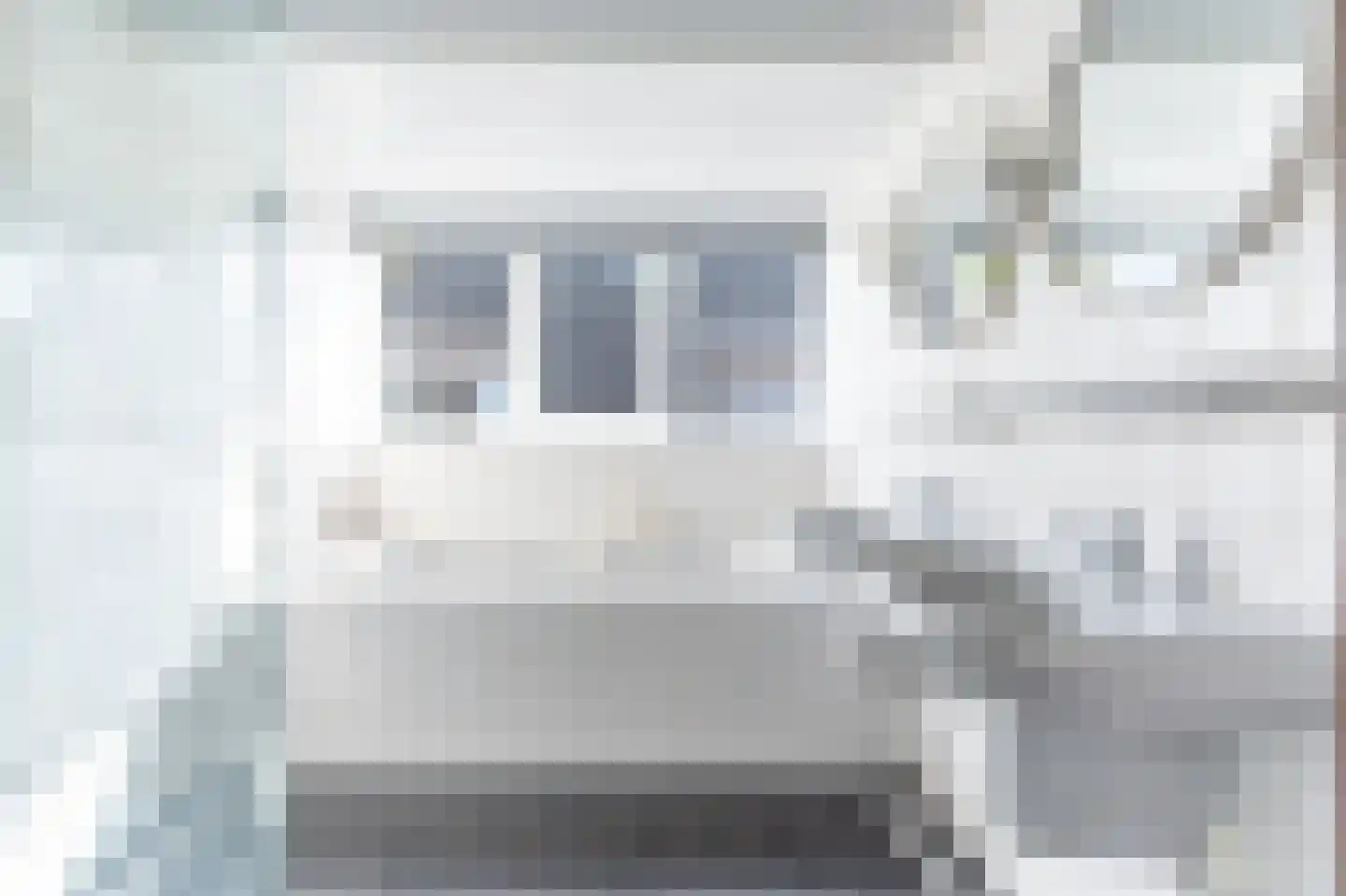 Brasemkolk 15 Zwolle thumbnail 32