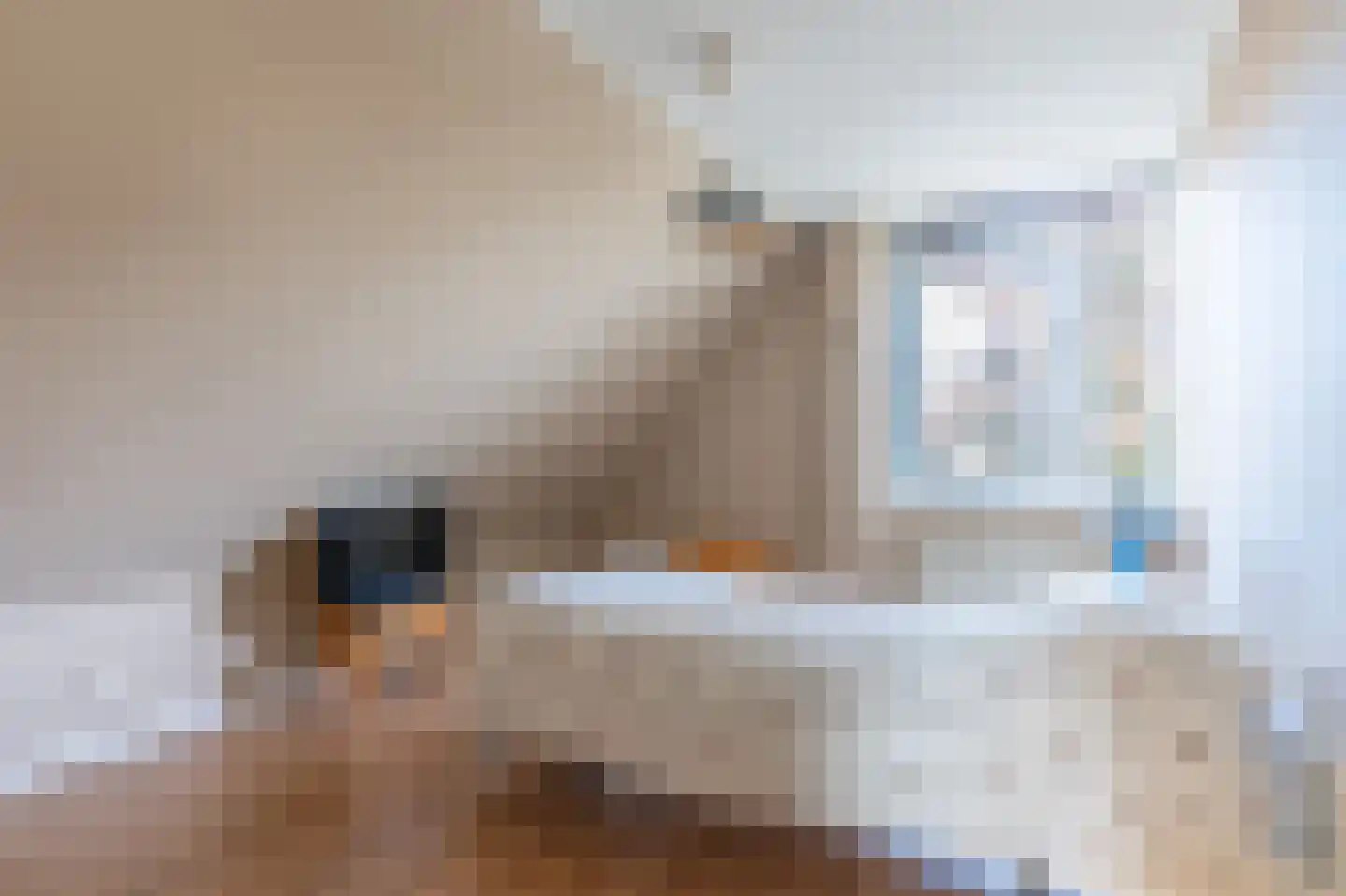 Brasemkolk 15 Zwolle thumbnail 36