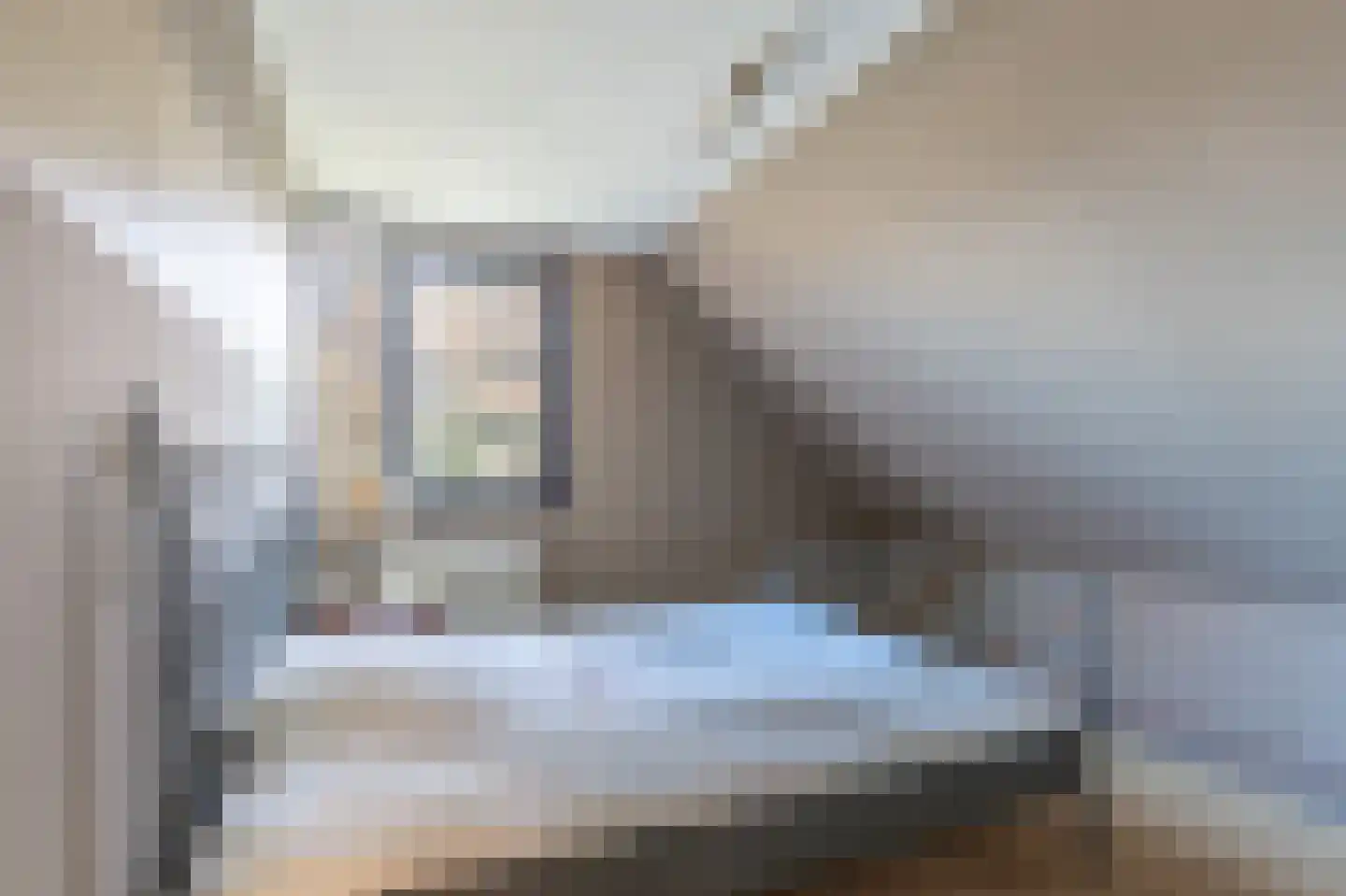 Brasemkolk 15 Zwolle thumbnail 38
