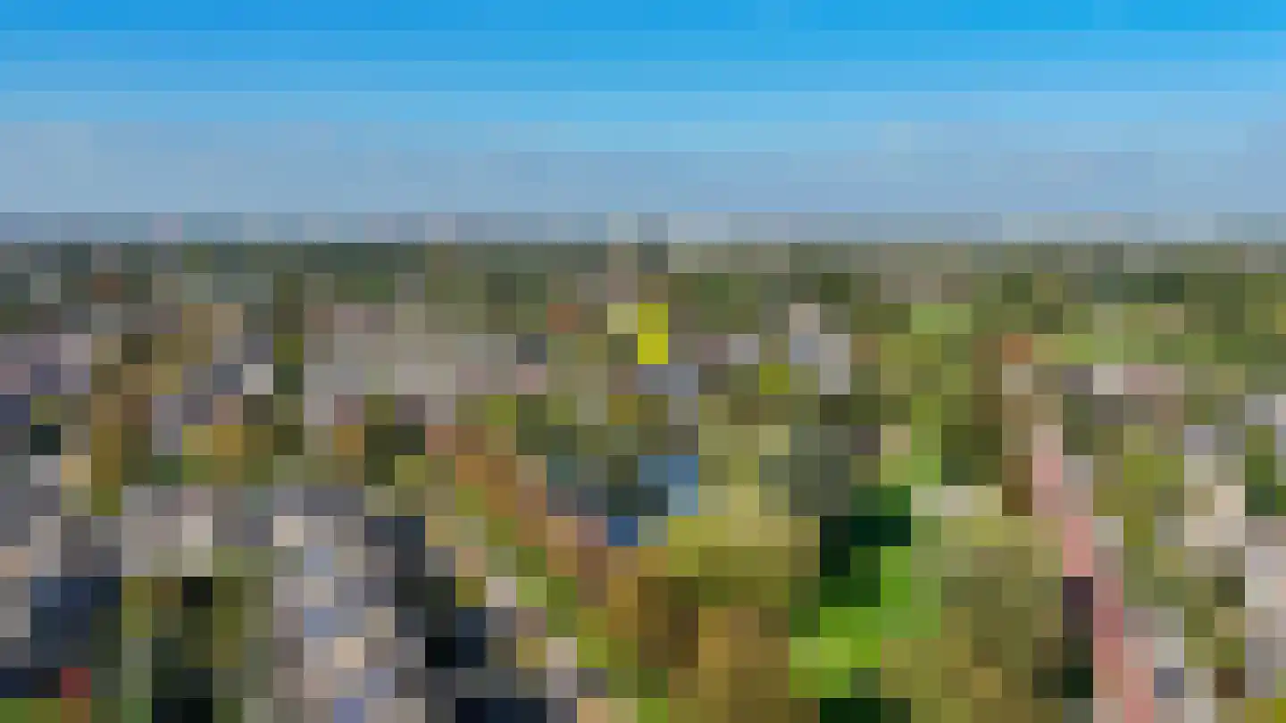 Brasemkolk 15 Zwolle thumbnail 4