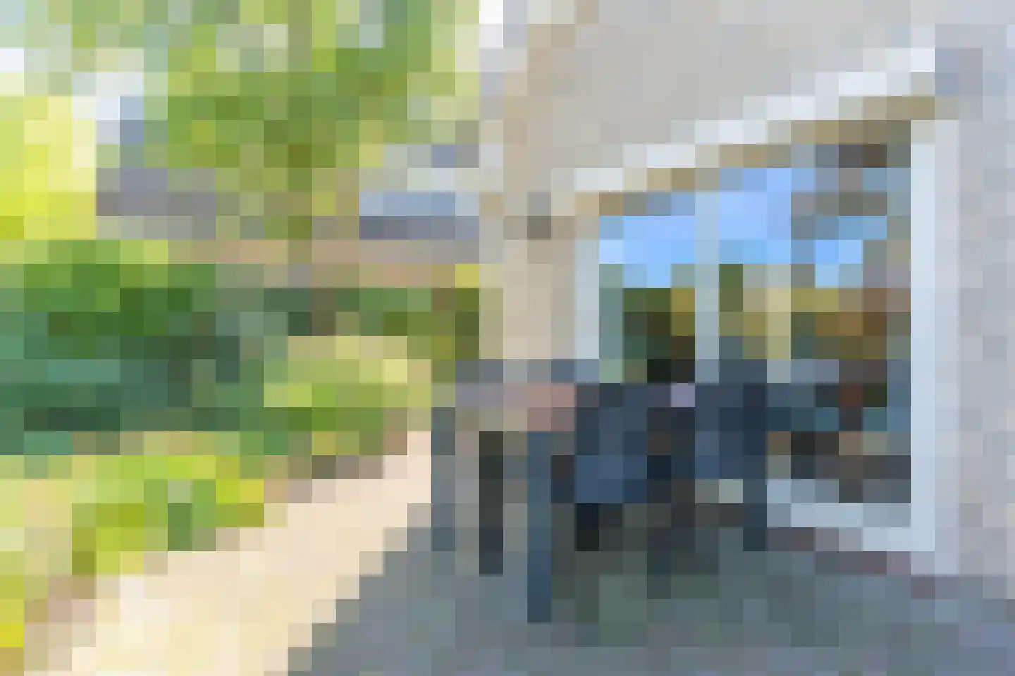 Brasemkolk 15 Zwolle thumbnail 43