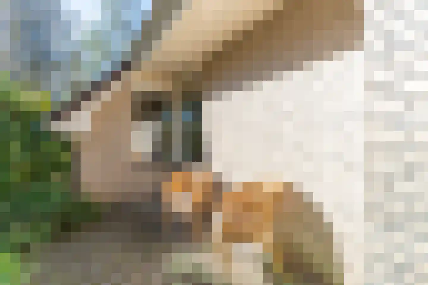 Brasemkolk 15 Zwolle thumbnail 45