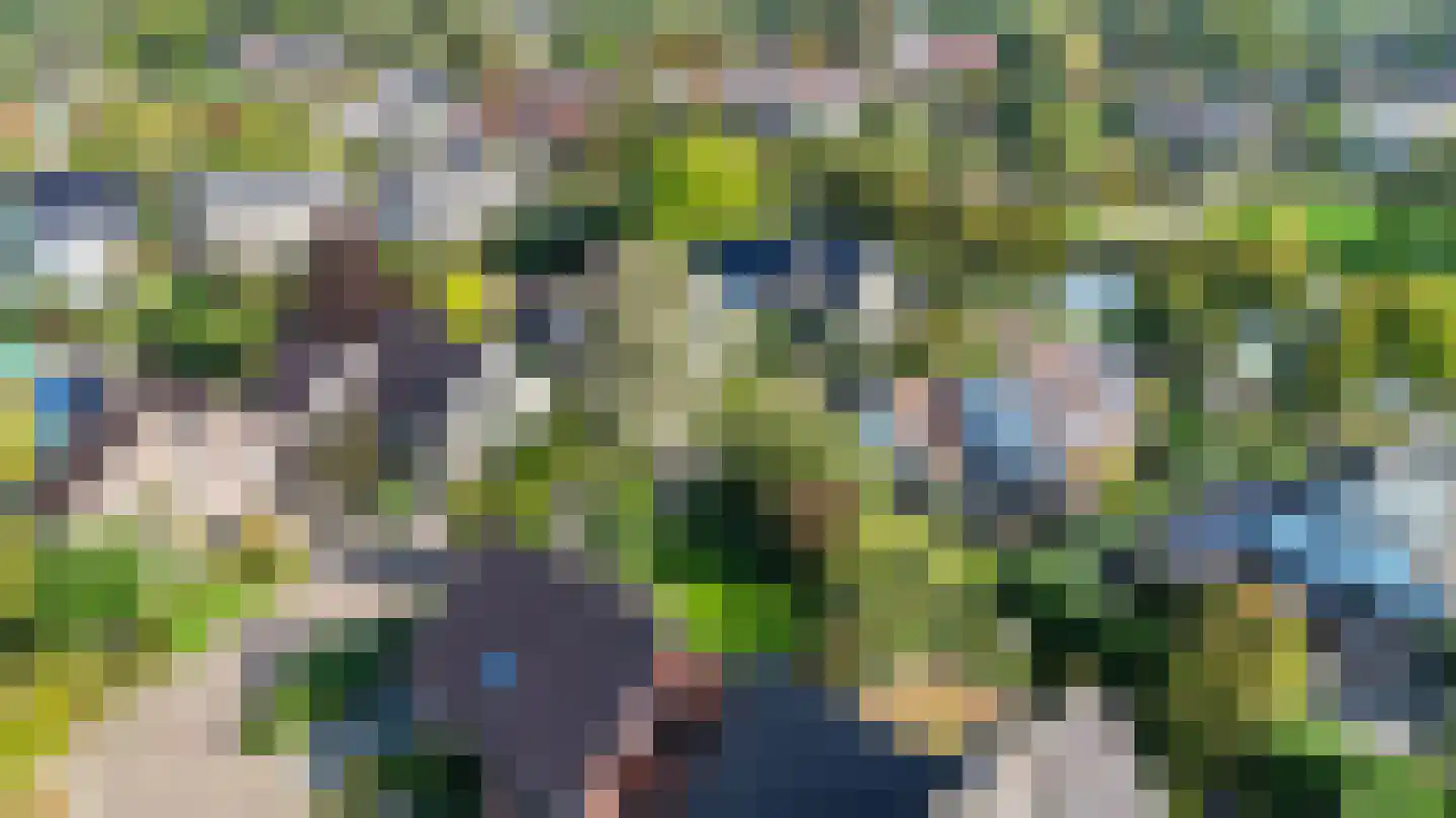 Brasemkolk 15 Zwolle thumbnail 46