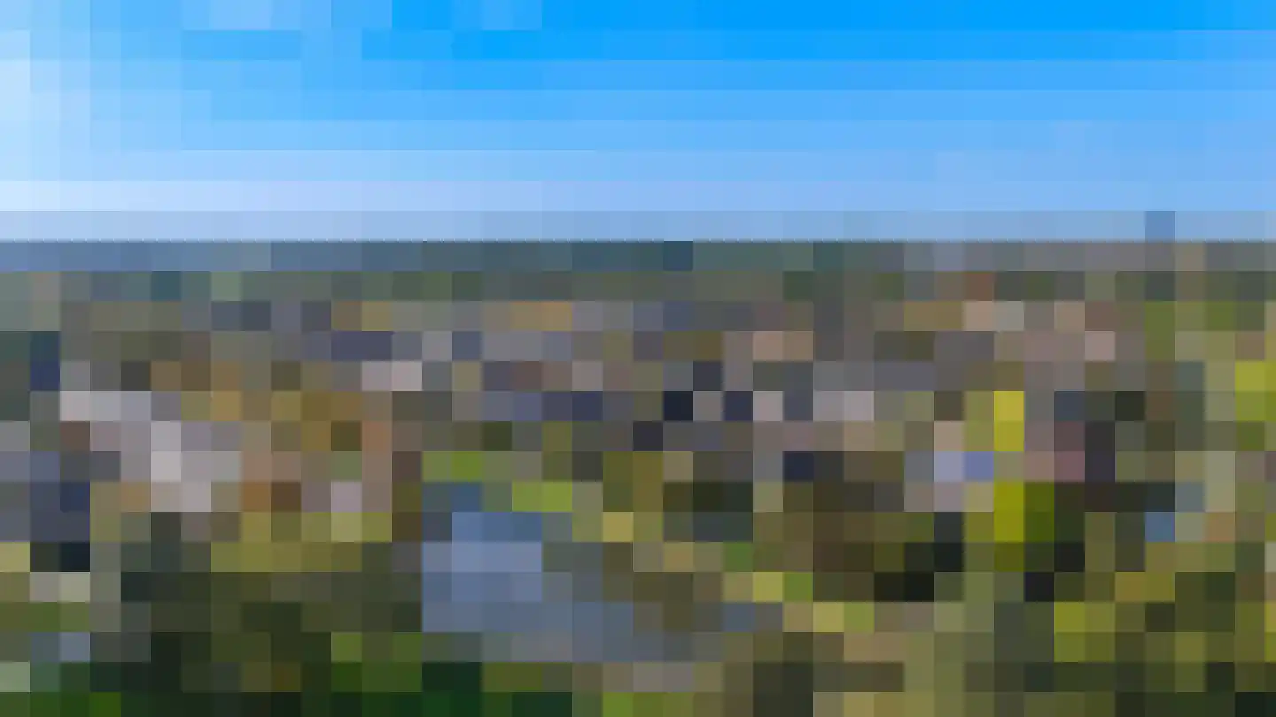 Brasemkolk 15 Zwolle thumbnail 47