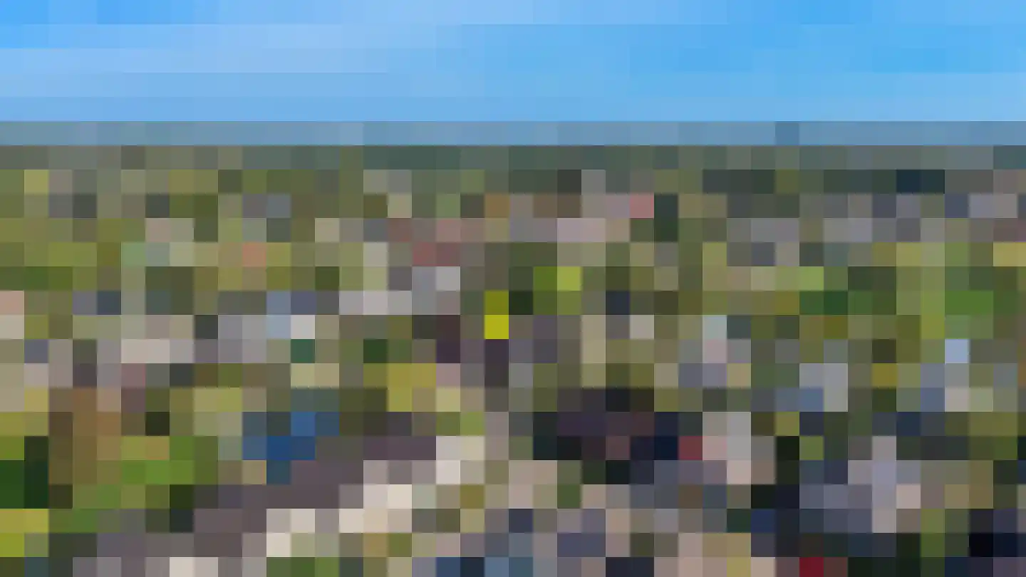 Brasemkolk 15 Zwolle thumbnail 48