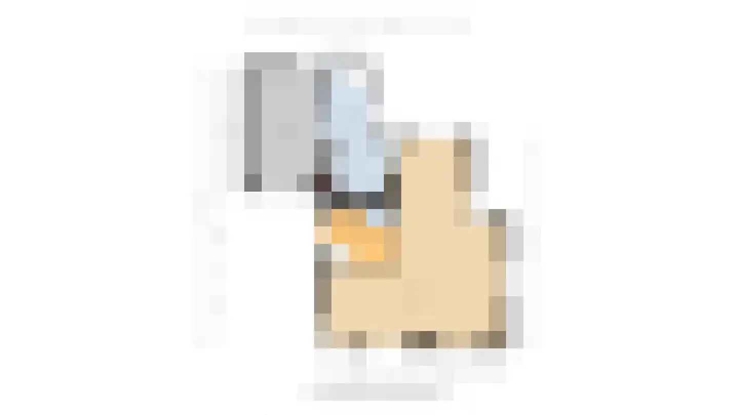 Brasemkolk 15 Zwolle thumbnail 51