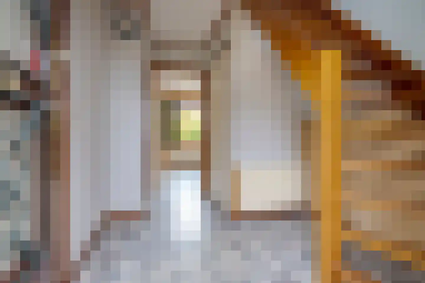Brasemkolk 8 Zwolle thumbnail 10