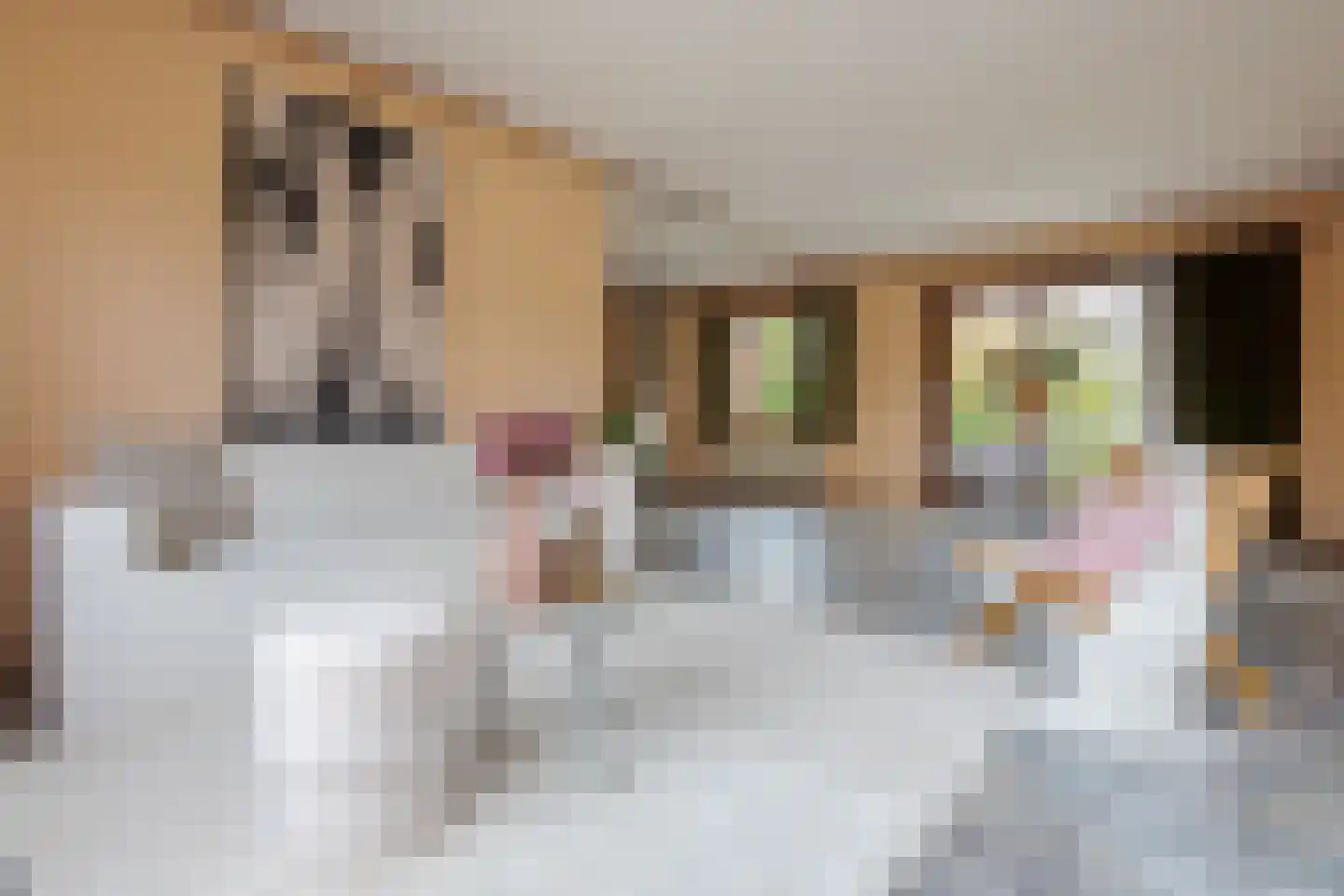 Brasemkolk 8 Zwolle thumbnail 17