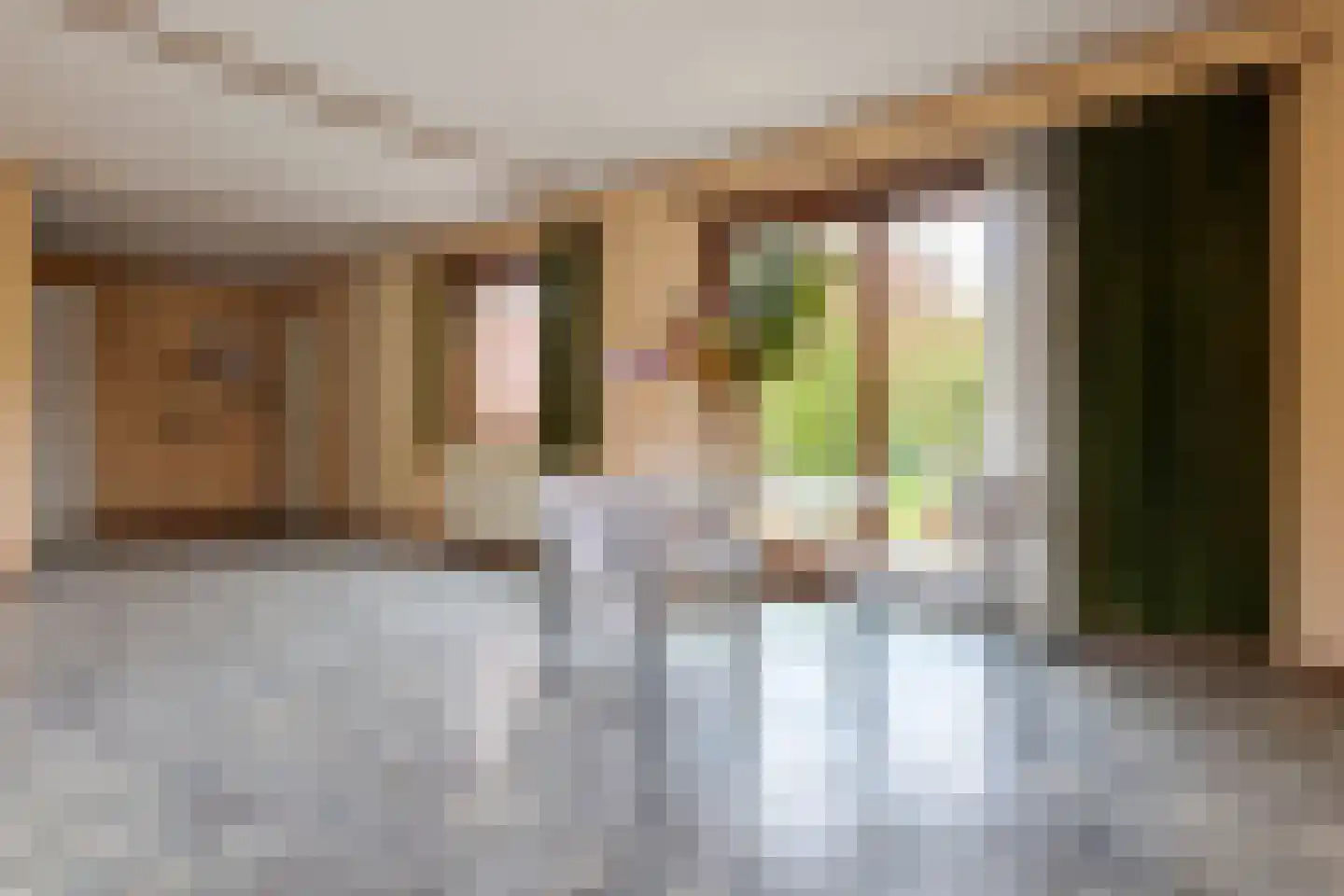 Brasemkolk 8 Zwolle thumbnail 19