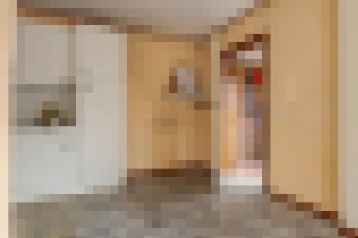 Brasemkolk 8 Zwolle thumbnail 23