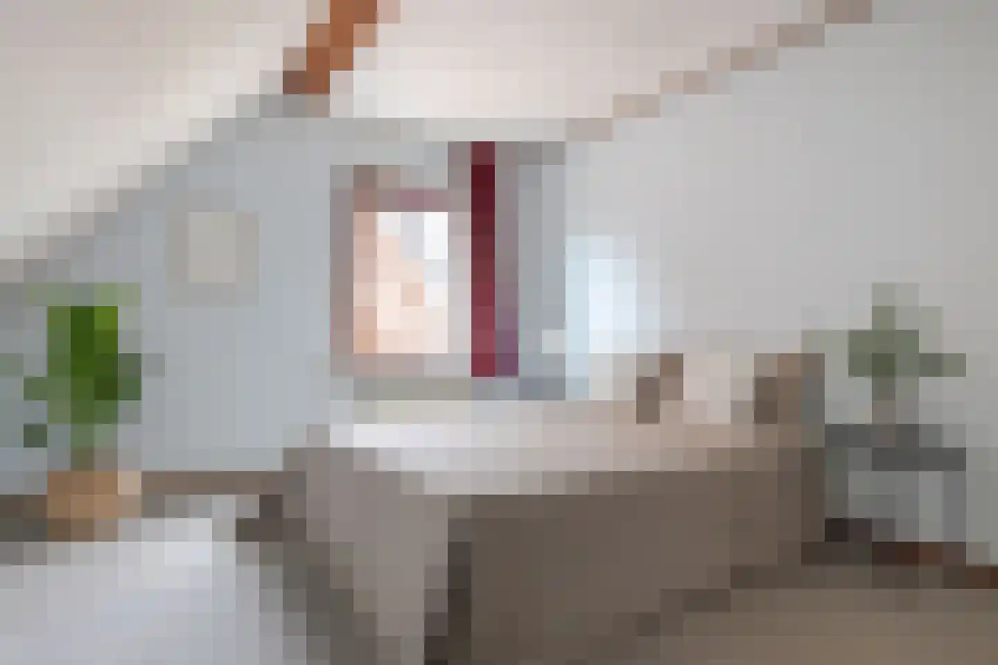 Brasemkolk 8 Zwolle thumbnail 35