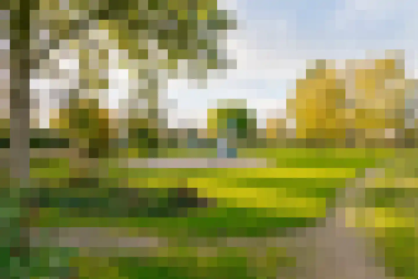 Brasemkolk 8 Zwolle thumbnail 51