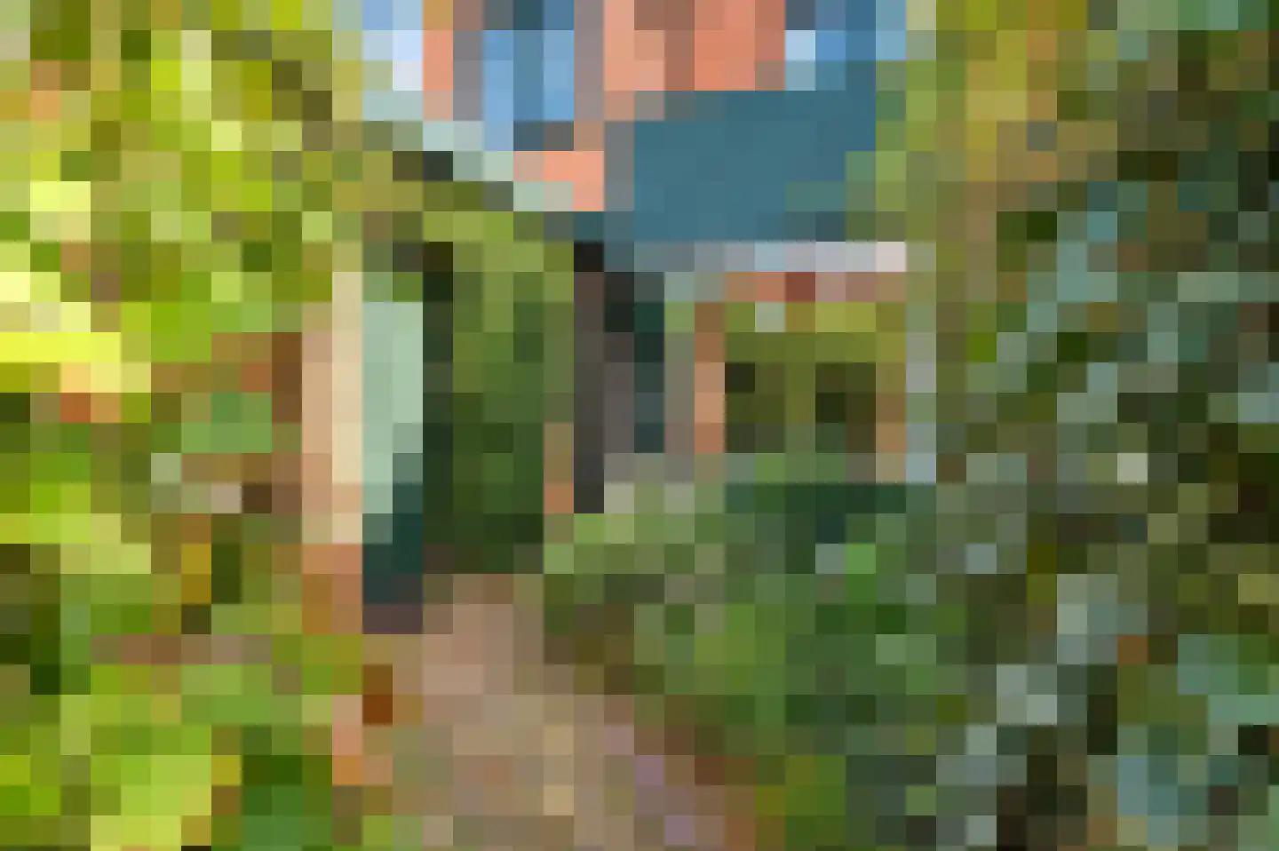 Brasemsloot 5 Zoetermeer thumbnail 13